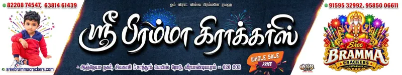 Sree Bramma Crackers Sivakasi collection